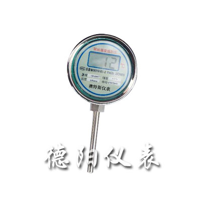 就地溫度顯示儀